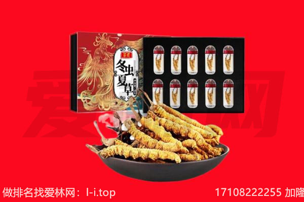 凌海市回收虫草.jpg